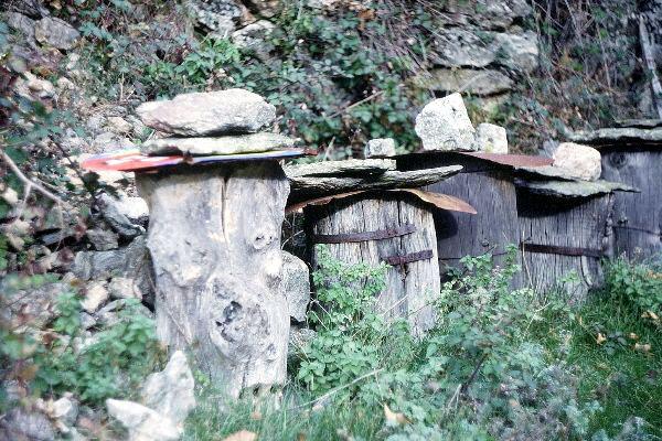Ruches aménagées Ruches aménagées