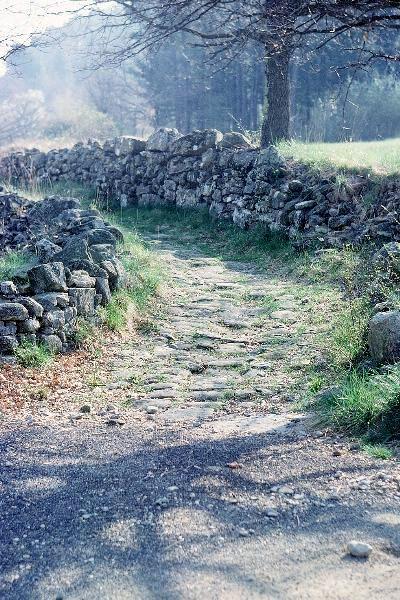 Vieux chemin Vieux chemin
