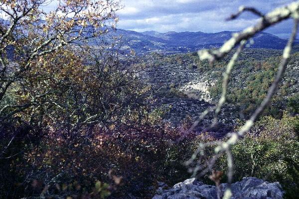 Paysage Paysage