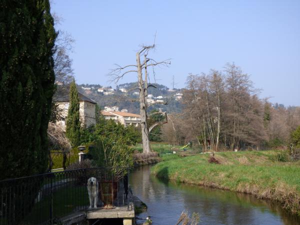 P1080539 1