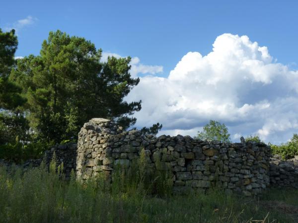 P1310812 1