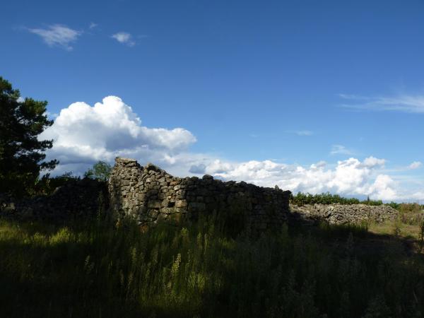 P1310814 1
