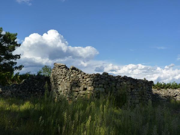 P1310815 1