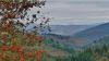 Couleurs d'automne